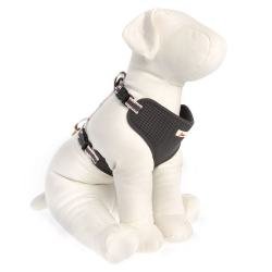 ed dog harness