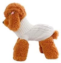 Knit Chihuahua Coat - Jumper for Small Puppies, Teacup & Miniature Breeds (Ivory Cream White)