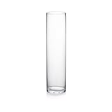 WGVI Quality Thick Weighted Tall Clear Cylinder