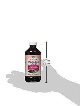 Nature's Way Sambucus Elderberry Immune Syrup for Kids Ages 2+, with Echinacea & Propolis, Immune Support Syrup*, Vegetarian, Berry Flavored, 8 Fl Oz