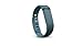 Fitbit Flex Accessory Band, Slate, Large