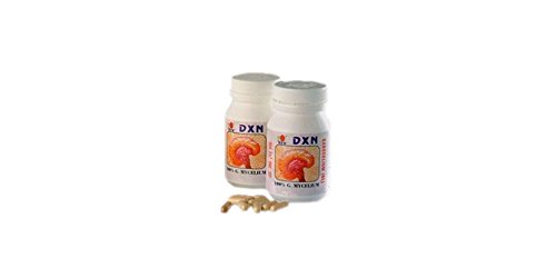 Pack of 2 - dxn ganocelium (gl) mycelium of ganoderma lucidum 90 …