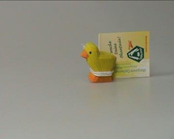 Ostheimer Yellow Chick