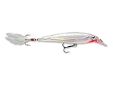 Rapala X-Rap Jerkbait 10 Fishing lure