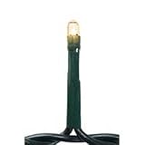 Teeny Bulbs Light Set - 20 Clear Rice Bulbs - Green Cord