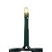 Teeny Bulbs Light Set - 20 Clear Rice Bulbs - Green Cord