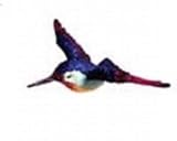 Hummingbird Window Magnet