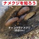 アース製薬 アースガーデン ナメクジにげぇ~る スプレー 450g