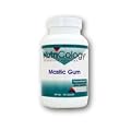 NutriCology Mastic Gum - 120 Capsules pack of - 2