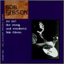 Bob Gibson - Joy Joy!: The Young And Wonderful Bob Gibson - Zortam Music