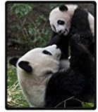 Fashion Style Giant Panda 50" x 60" (Medium) Fleece Throw Plush Blanket