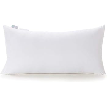 Amazon Com Acanva Hypoallergenic Throw Pillow Insert Soft