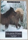 Icelandic ponies by 