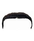 Zapata Moustache Facial Hair