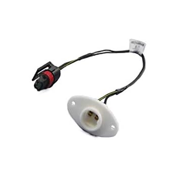 Amazon.com: 1994-2001 Dodge Ram 1500 2500 3500 License Plate Lamp Light