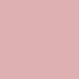 PANTONE SMART 14-1508X Color Swatch Card, Silver Pink