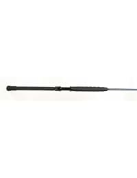 Barra de jigging de Wright & Mcgill Tessera