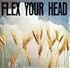 Flex Your Head