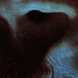 Meddle