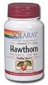 Hawthorn Extract 100 mg, 60 Capsules