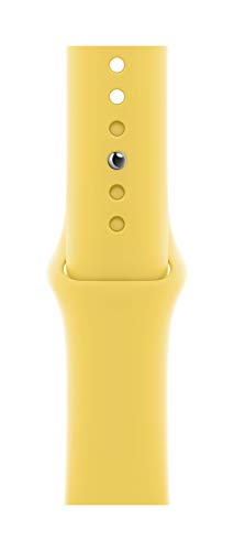 ایگرد | قیمت و خرید Apple Watch Sport Band (44mm) - Ginger - Regular