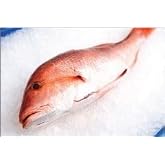 Boston Fish, Snapper, Red, American, Whole, 10 Lbs Average Case, Fresh Wild-Caught, Mild Sweet Flavor, Firm White Flesh, Perfect for Grilling, Roasting &amp; Seafood Specialties