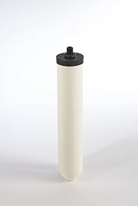 doulton filtre sur evier