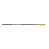 Gold Tip Hunter Pro Arrow with Raptor Vane (Pack of 6), Black, 500