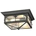 Home Decorators Collection Flushmount 2-Light Outdoor Aged Iron Lantern