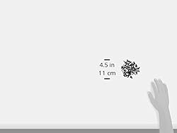 ACORN INTERNATIONAL SW-MW1BK250 Screw, 9 x 1, Black