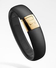 fuelband se