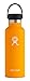 HYDRO FLASK Standard W Flex Cap Mango 18 Ounce, 1 EA