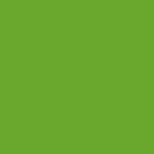 Oracal 631 Vinyl 12" X 5ft. Roll Matte Finish (Lime Green, 1 Roll)