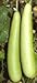 Bhim Bottle gourd seed packet by Seeds of India