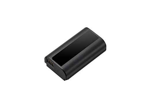 Panasonic LUMIX DMW-BLJ31 Lithium-ion Battery for Panasonic LUMIX S Series Mirrorless Cameras