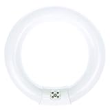 Luxrite LR20570 FC8T9/CW 22-Watt 8 INCH T9 Fluorescent Circular Light Bulb, Cool White 4100K, 1180 Lumens, G10Q 4-Pin Base, 1-Pack