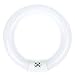 Luxrite LR20575 FC8T9/D 22-Watt 8 INCH T9 Fluorescent Circular Light Bulb, Daylight 6500K, 980 Lumens, G10Q 4-Pin Base, 1-Pack