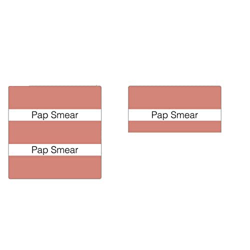 Tabbies Medical Chart Index Tabs, Pap Smear, Salmon, 1.5 x 1.5 inch Self-Adhesi…