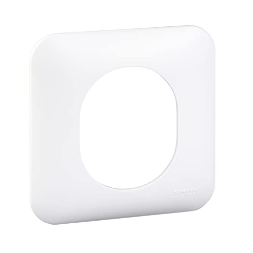 Ovalis - Plaque de finition blanche (RAL9003) - 1 poste en promo sur Amazon