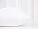 Acanva Fluffy Pillow Insert for Bed Sleeping, Decorative Stuffer Cushion Sham Filler, 12x24 Inch, White