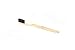 Bass Brushes | Toothbrush | Dental Grade Nylon Bristle | Premium Acrylic Handle | Gold Finish | Model TB4 - GLD