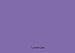 12" x 10 ft Roll of Matte Oracal 631 Lavender Repositionable Adhesive-Backed Vinyl for Craft Cutters, Punches and Vinyl Sign Cutters by VinylXSticker