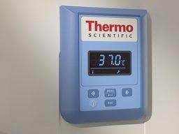 image for Thermo Heratherm 50127773 Stainless Steel Perforated Shelf for IMH60 /