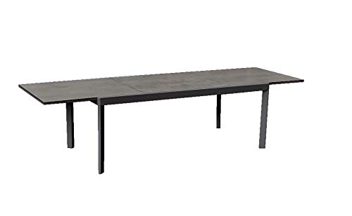 Alu Gartentisch 300x100cm Terrassentisch Balkontisch Esstisch Gartenmöbel Tisch – Bild 3