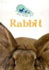 Rabbit (I Am Your Pet) by