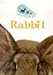 Rabbit (I Am Your Pet) by