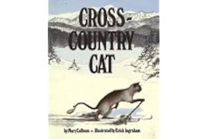 Cross Country Cat