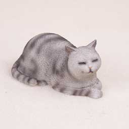 Amazon Com Silver Shorthaired Tabby Cat Cat Nap Set Of 6 Home