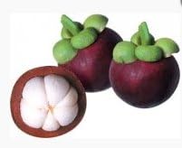 Raw Mangosteen Powder - One Pound