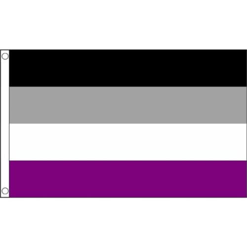 Asexual Small Flag - 3 x 2 FT - 100% Polyester With Eyelets Banner - Pride LGBTQ+ - FlagSuperstore